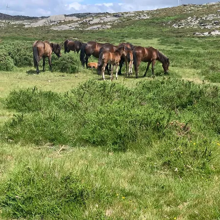 Casa Valfonte - Moradia Com Piscina Casa vacanze *