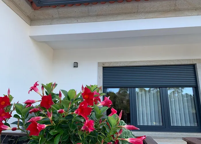 Casa Valfonte - Moradia Com Piscina