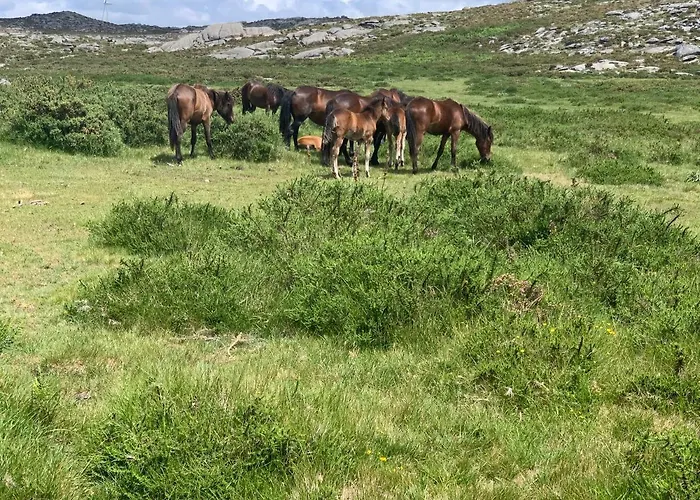 Casa Valfonte - Moradia Com Piscina Dom wakacyjny *